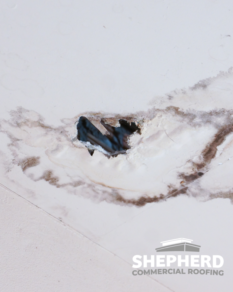 Hole in ceiling from roof leak