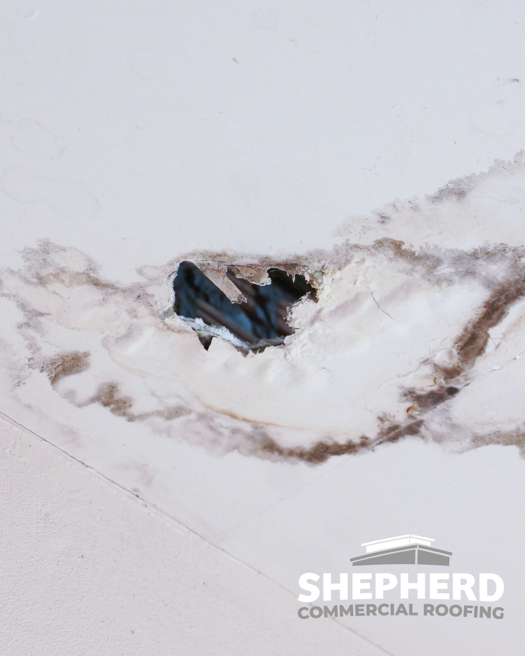 Hole in ceiling from roof leak