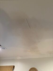 Commercial Roof Failure – Mold Growth in East Texas Property