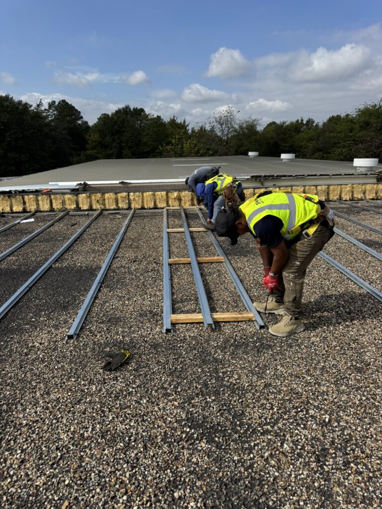 item_be1d4b50-fb7d-465a-aea5-77ef272ca0fb (1)